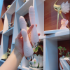 Dương Vật Giả cầm tay MS SEXTOY VIBRATING ROD